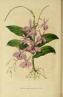  no thumbnail available