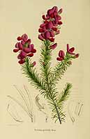  no thumbnail available