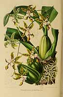  no thumbnail available