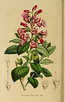  no thumbnail available