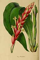  no thumbnail available