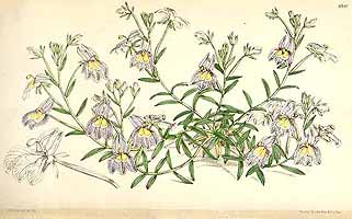  no thumbnail available