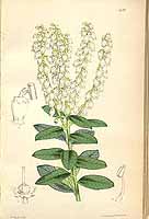  no thumbnail available