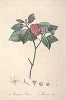  no thumbnail available