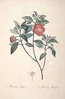  no thumbnail available