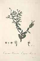  no thumbnail available