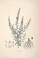  no thumbnail available