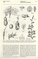  no thumbnail available