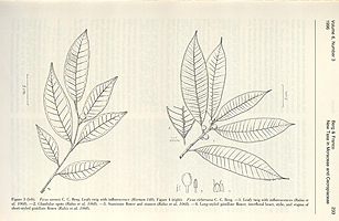  no thumbnail available