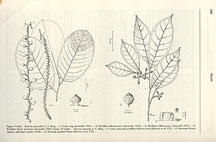  no thumbnail available