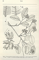  no thumbnail available