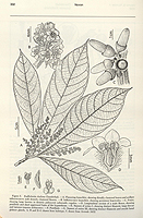  no thumbnail available