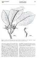  no thumbnail available