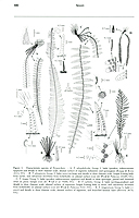  no thumbnail available