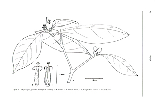  no thumbnail available