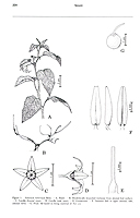  no thumbnail available