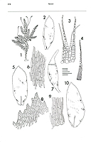  no thumbnail available