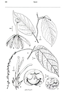  no thumbnail available