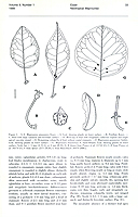  no thumbnail available