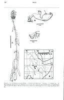  no thumbnail available