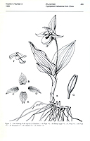  no thumbnail available