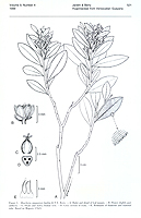  no thumbnail available