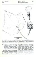  no thumbnail available