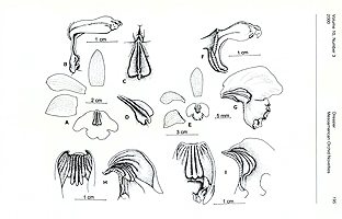  no thumbnail available