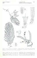  no thumbnail available