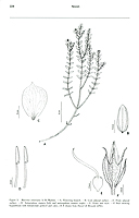  no thumbnail available