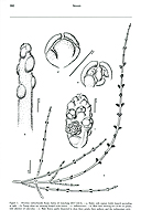  no thumbnail available