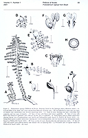  no thumbnail available