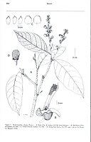  no thumbnail available