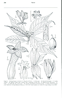  no thumbnail available