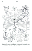  no thumbnail available