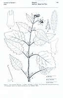  no thumbnail available