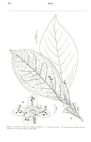  no thumbnail available