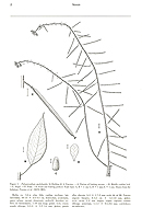  no thumbnail available