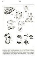  no thumbnail available