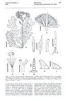  no thumbnail available