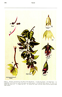  no thumbnail available