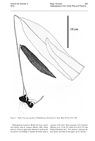  no thumbnail available