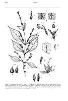  no thumbnail available