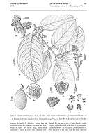  no thumbnail available