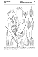  no thumbnail available