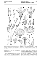  no thumbnail available