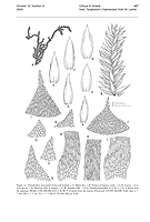  no thumbnail available