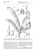  no thumbnail available