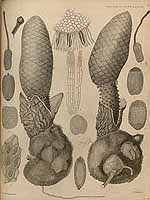  no thumbnail available