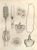  no thumbnail available